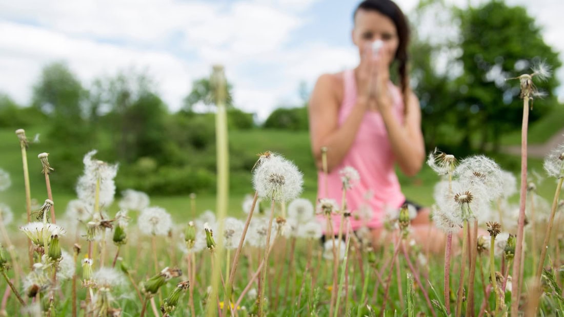 Hay fever symptoms and remedies in a green garden with woman in pink top.